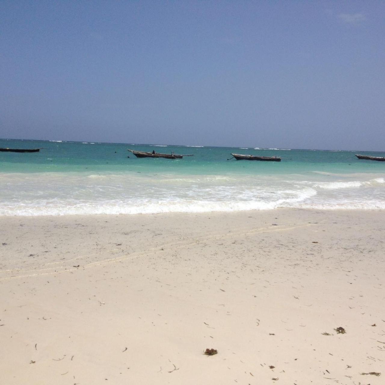 Mango Lodge Msambweni Kisimachande Luaran gambar
