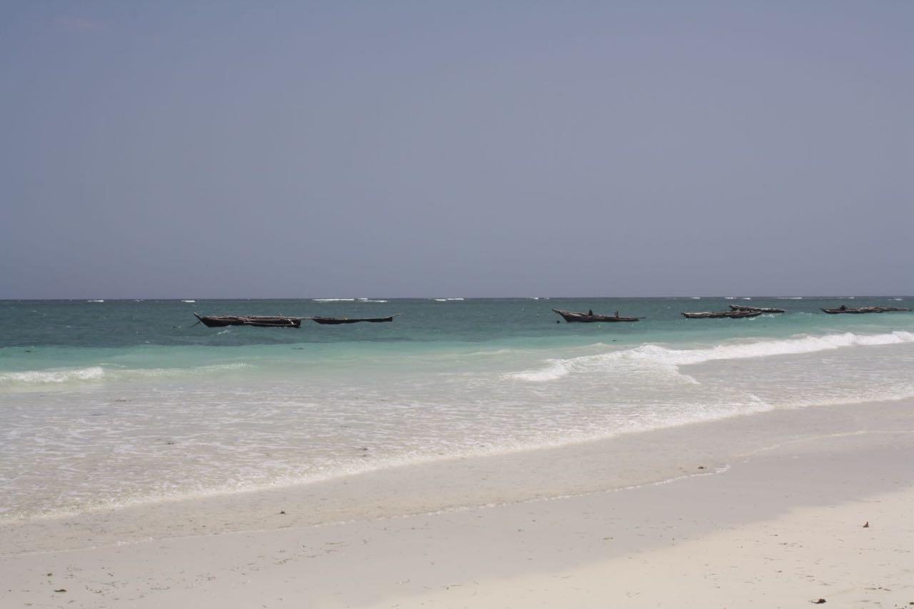 Mango Lodge Msambweni Kisimachande Luaran gambar