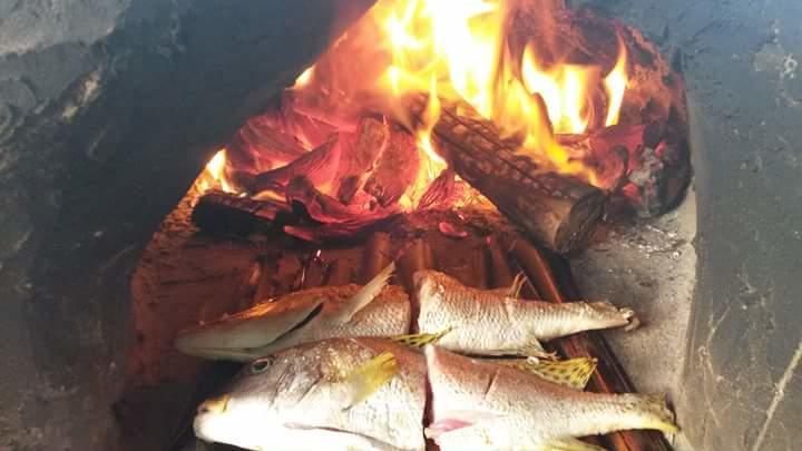 Mango Lodge Msambweni Kisimachande Luaran gambar