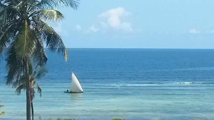 Mango Lodge Msambweni Kisimachande Luaran gambar